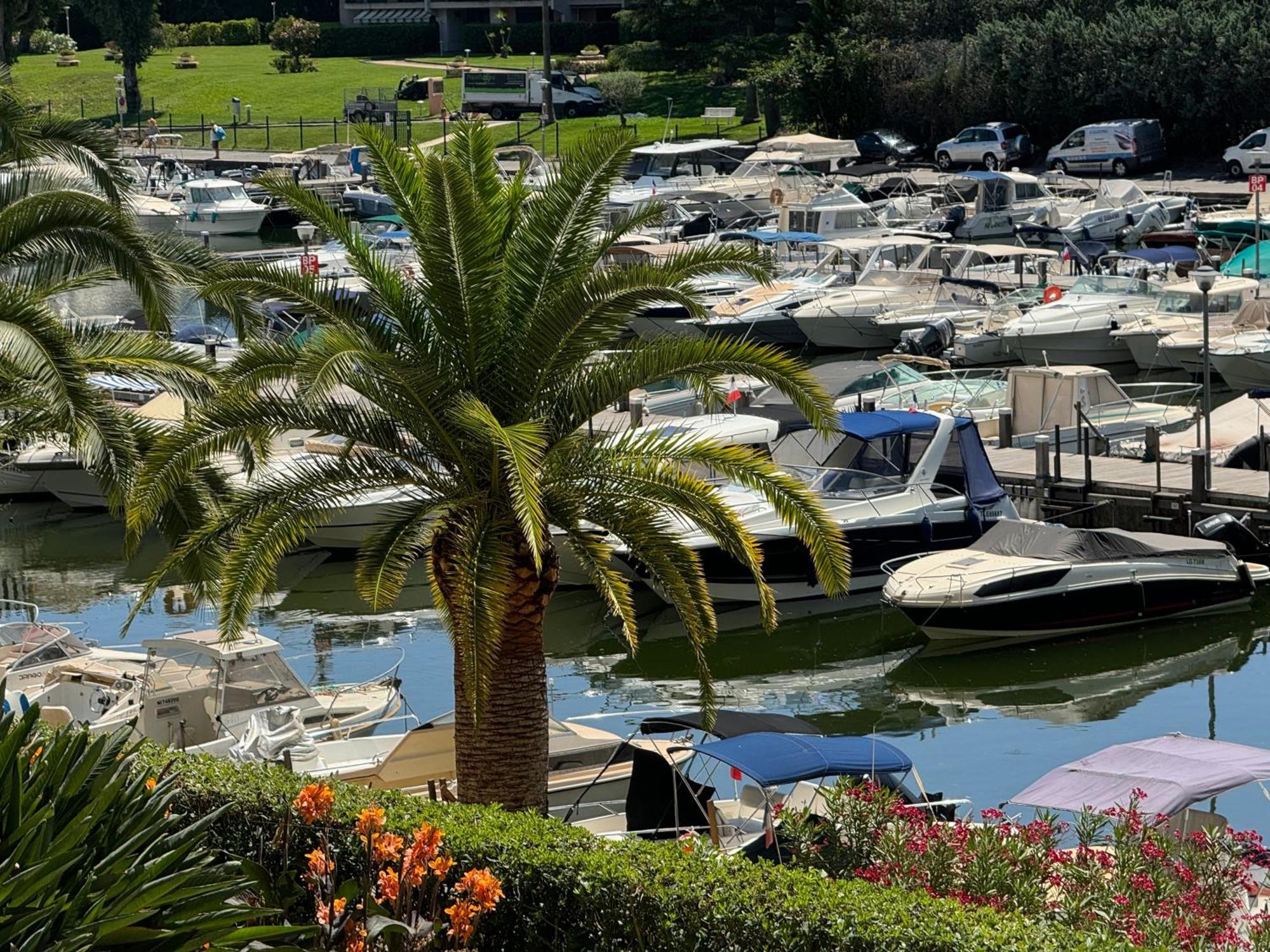 My Resid Appart Cannes Marina Vue Piscine Mandelieu Esterno foto